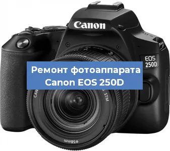 Замена разъема зарядки на фотоаппарате Canon EOS 250D в Краснодаре
